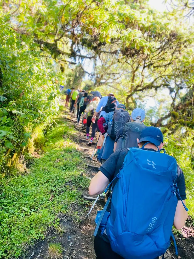 Mount Kilimanjaro trekking landscape